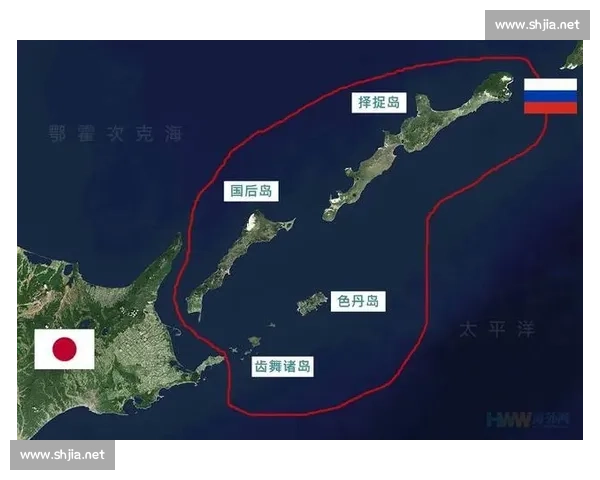 日本对阵巴勒斯坦的实力博弈与西亚赛场新变局前景观察解析全景